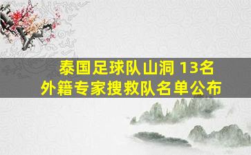 泰国足球队山洞 13名外籍专家搜救队名单公布